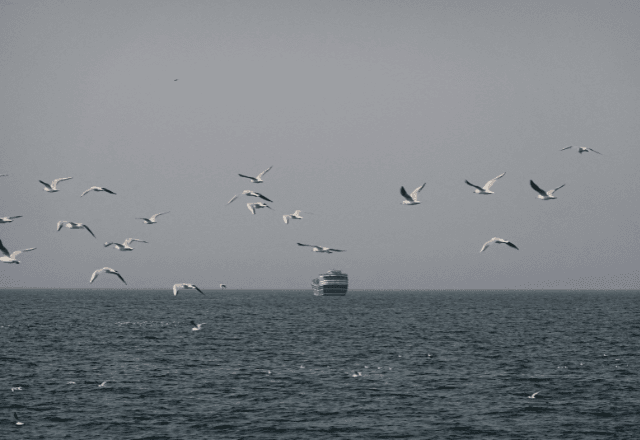 Economia – há 1 dia Conflito no Irã pode impactar de maneira duradoura os mercados globais de energia Fornecedores internacionais enfrentam desafios com instalações danificadas, interrupções logísticas e aumento dos riscos de transporte