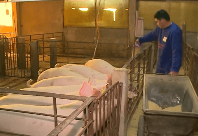 Conflito no Oriente Médio gera preocupação entre exportadores brasileiros e eleva custos na agricultura.